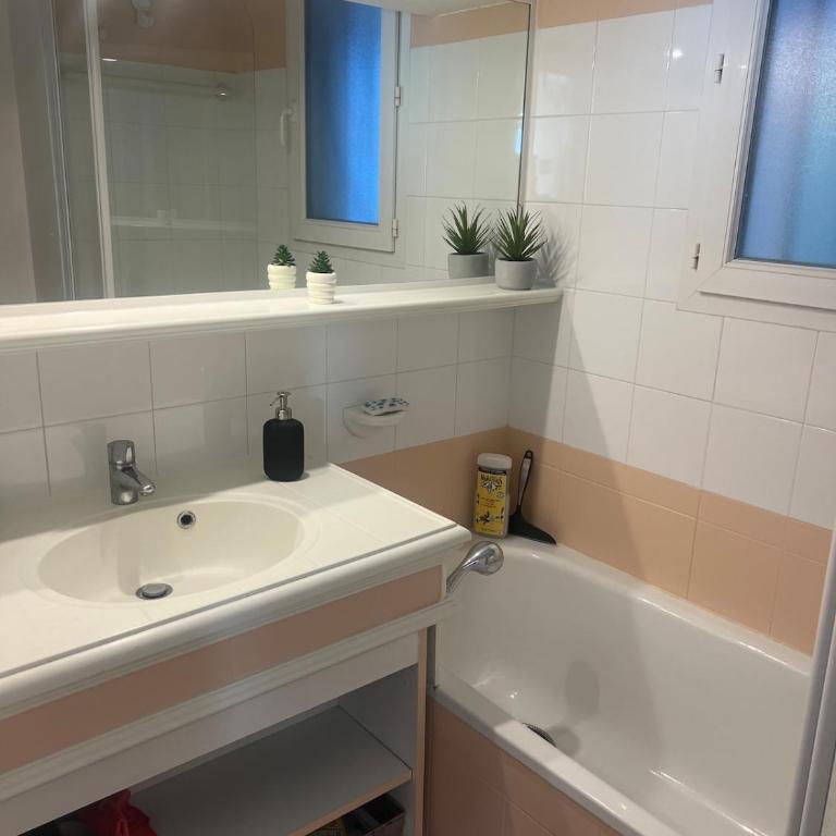 Spacieux T2 Superbe vue mer - Appartamento con 1 Camera da Letto - 9