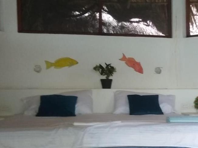 Ecohotel Nativa Beach - Habitación Doble Superior - 1 cama extragrande o 2 individuales - 7