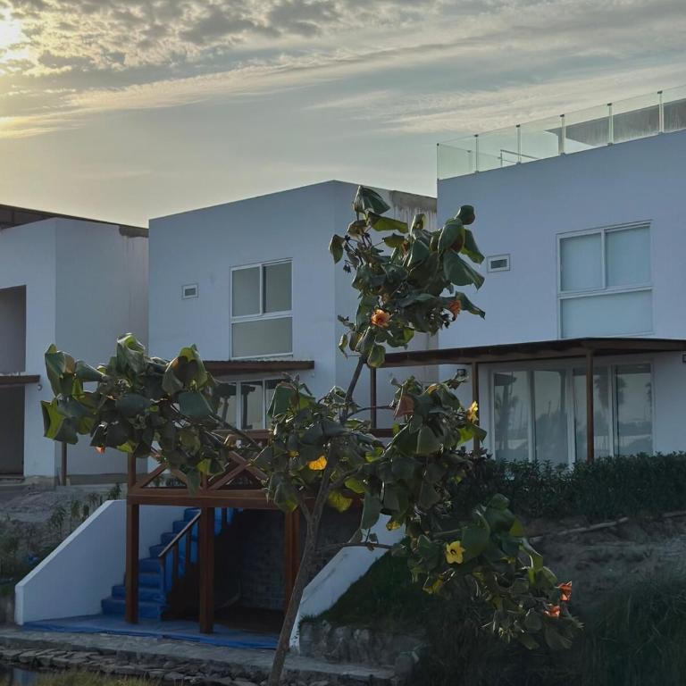 Beach House - Private Dock and Pool - Casa de 3 dormitorios - 71