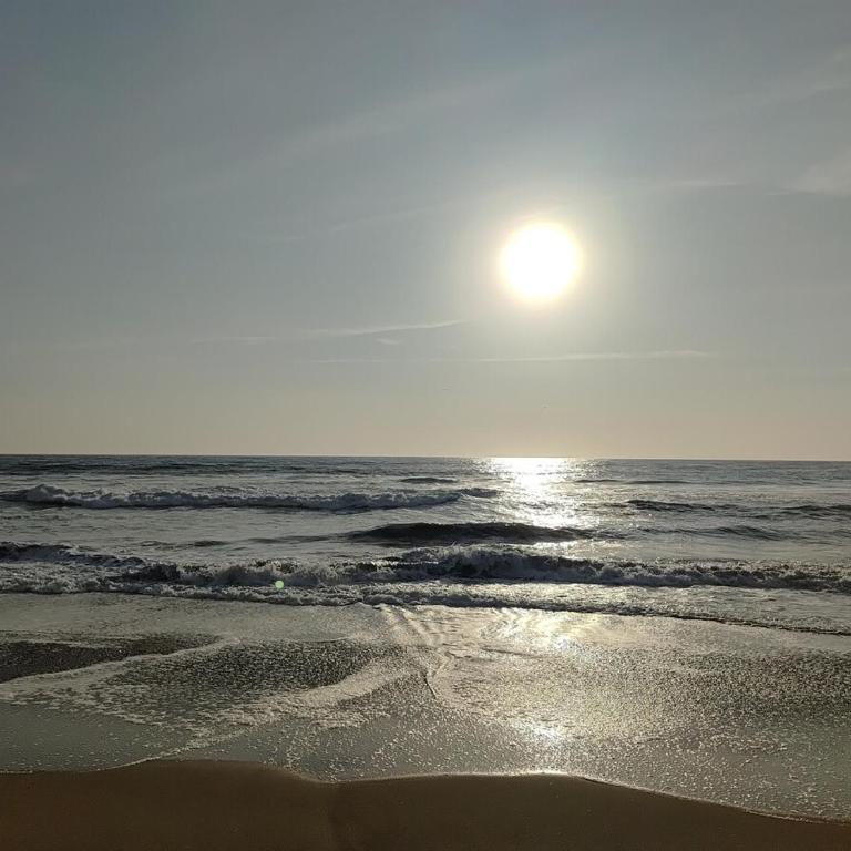 Beach House - Private Dock and Pool - Casa de 3 dormitorios - 86