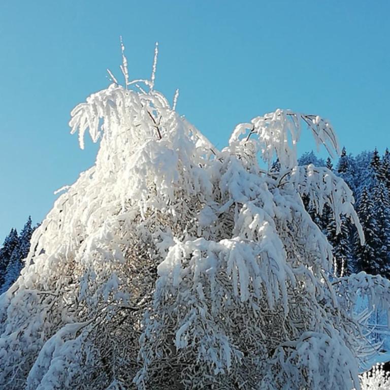 3apartment with terrace at the foot of the slopes - Appartamento - 17