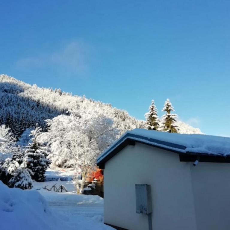 3apartment with terrace at the foot of the slopes - Appartamento - 18