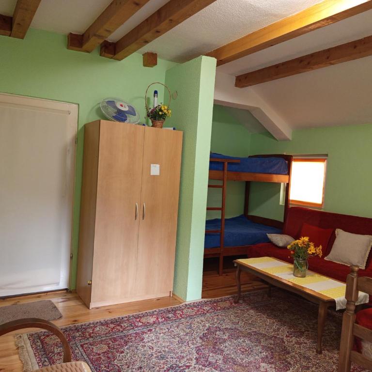 Guess House Tara Studio - Apartman sa 1 Spavaćom Sobom - 20
