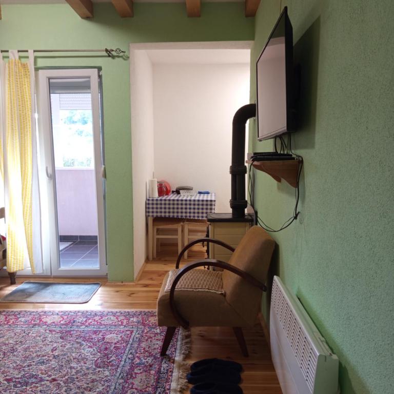 Guess House Tara Studio - Apartman sa 1 Spavaćom Sobom - 23