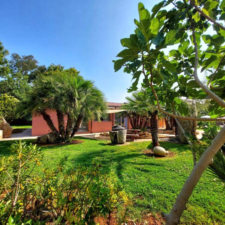 Residence with swimming pool a few minutes from Alghero - Monolocale - 1