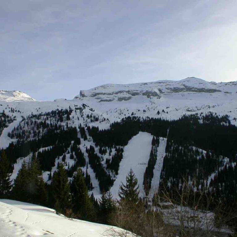 Studio Cabine 5p Résidence Sagittaire, Flaine Forêt, Proche Pistes et Commerces - FR-1-687-9 - Studio - 7