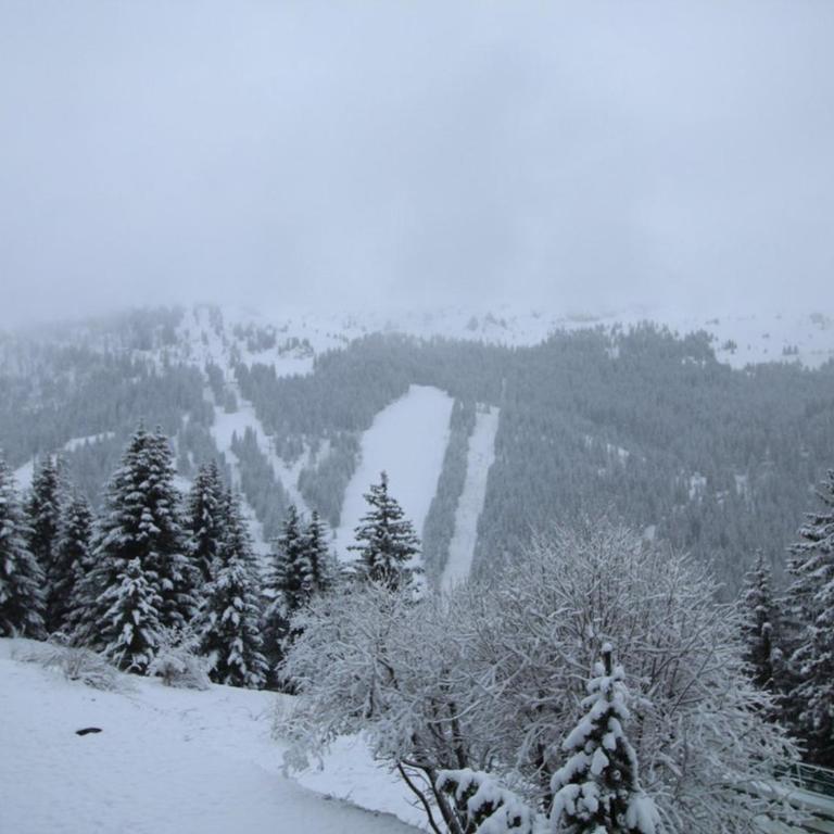 Studio Cabine 5p Résidence Sagittaire, Flaine Forêt, Proche Pistes et Commerces - FR-1-687-9 - Studio - 9