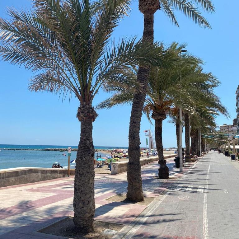 Beautiful apartment a few meters from the beach of Campello - Apartamento de 2 dormitorios - 34