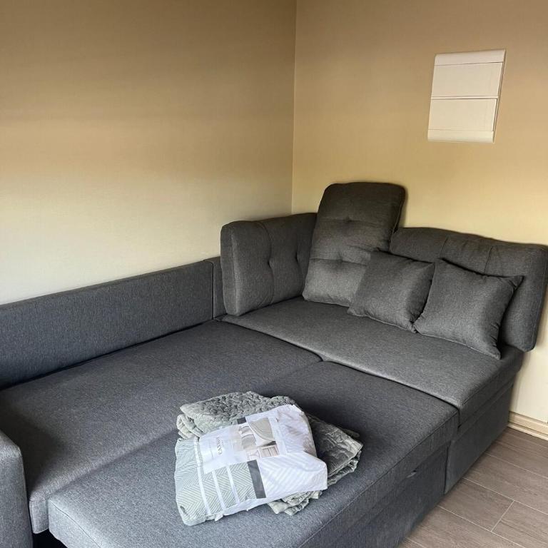 Cozy apartment in downtown Chillán - Apartamento de 1 dormitorio - 1