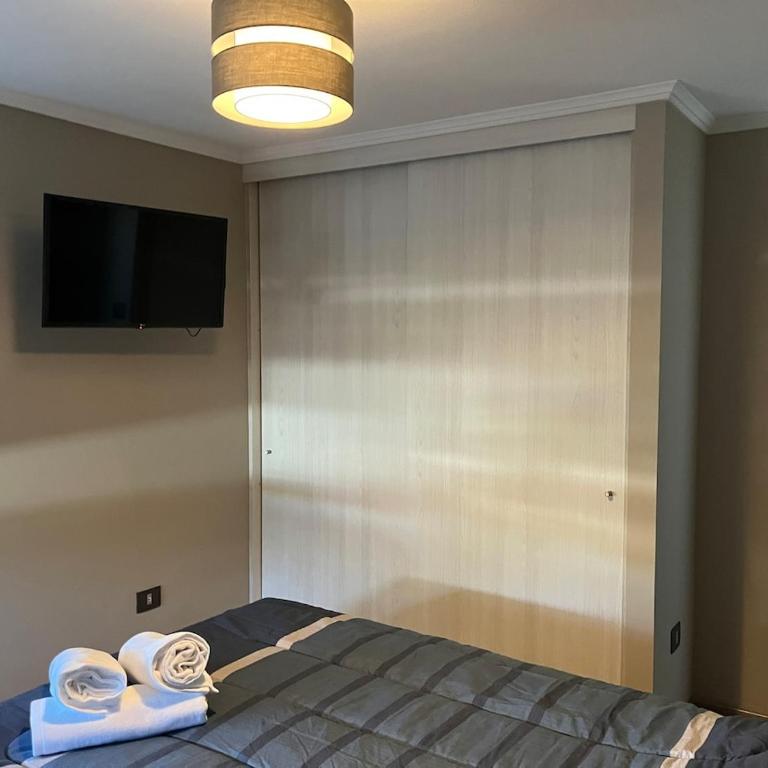 Cozy apartment in downtown Chillán - Apartamento de 1 dormitorio - 17