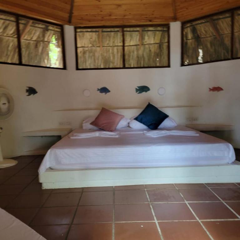 Ecohotel Nativa Beach - Habitación Doble Superior - 1 cama extragrande o 2 individuales - 6