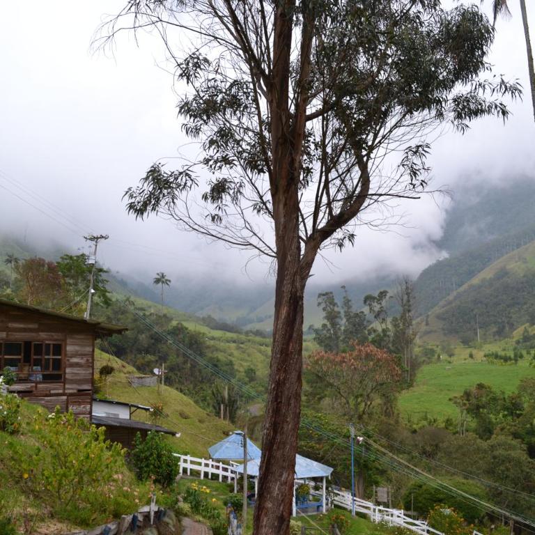 Cabañas Valle del Cocora La Truchera - Chalet - 42