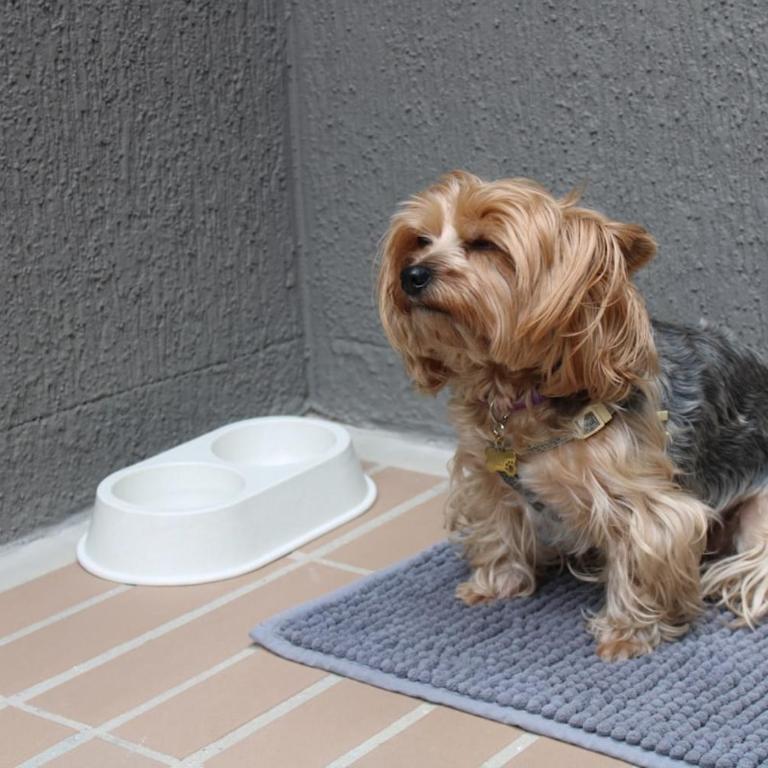 Rinconcito Travel, Studio Apartment Bogotá - Apartamento de 1 dormitorio - 22