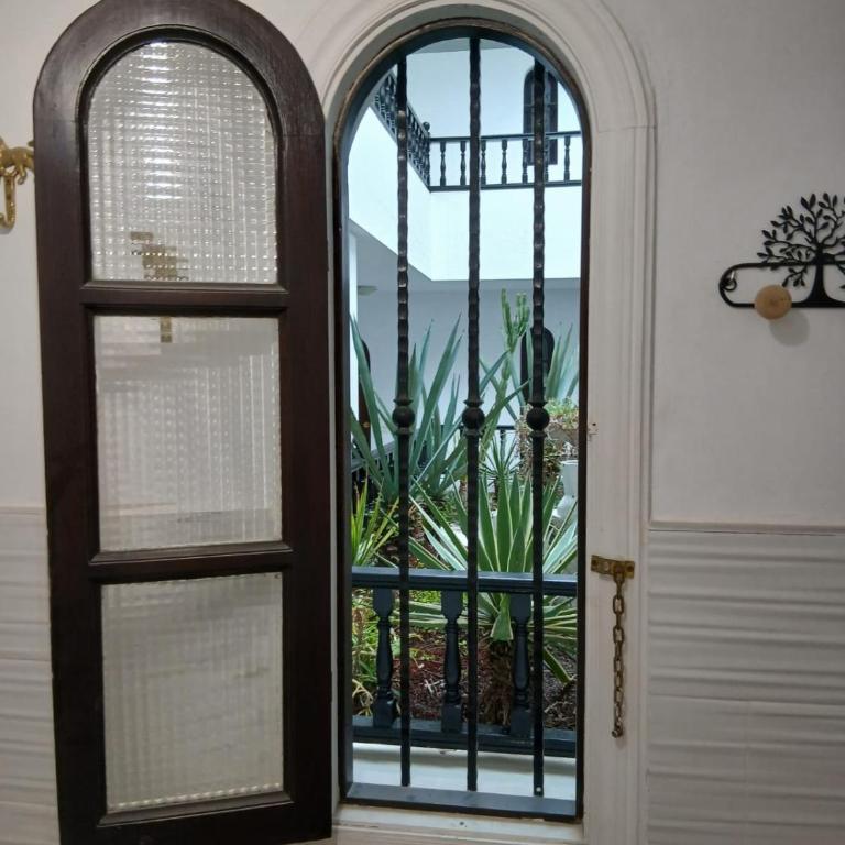 MAREZIA - One-Bedroom Apartment - 48