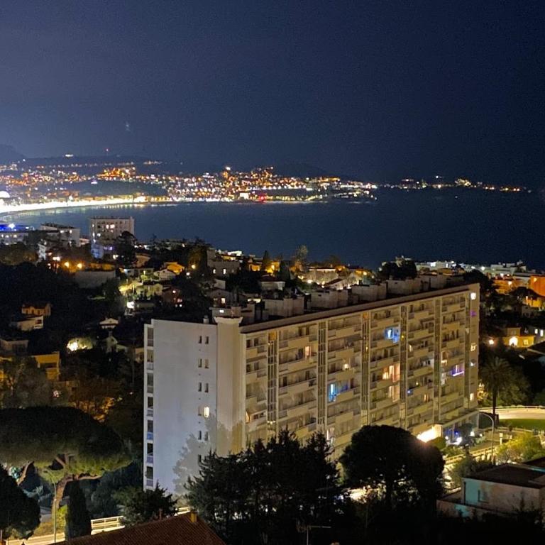 Breathtaking panoramic view of Nice ! - Appartement 2 Chambres - 31