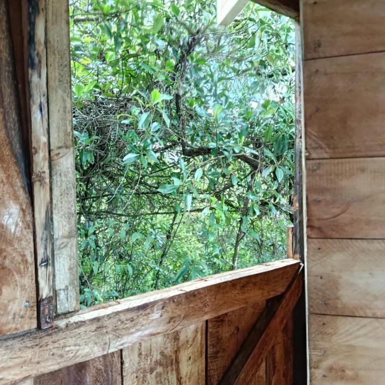 Eco Albergue Azul - Suite with Mountain View - 2