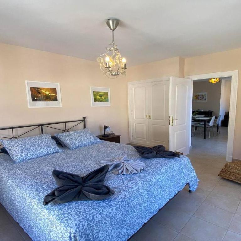 Apt. Brisa Marina - Apartamento de 1 dormitorio - 22