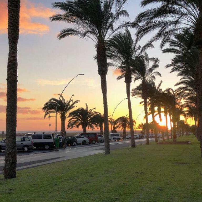 Aloha - Apartamento de 1 dormitorio - 17