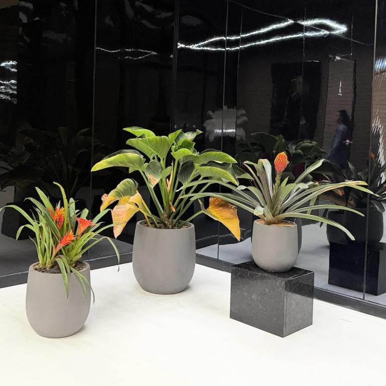 Beautiful studio apartment near Parque de la 93 - Apartamento de 1 dormitorio - 12