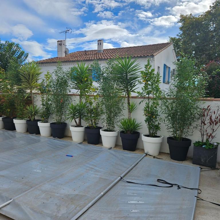 VILLA EN PROVENCE AVEC PISCINE AU CALME À ARLES - Camargue - Villa con Piscina Privata - 21