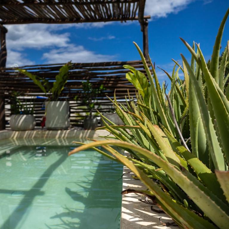 Teva Tulum, Aldea Zamá - Apartamento Ático - 1