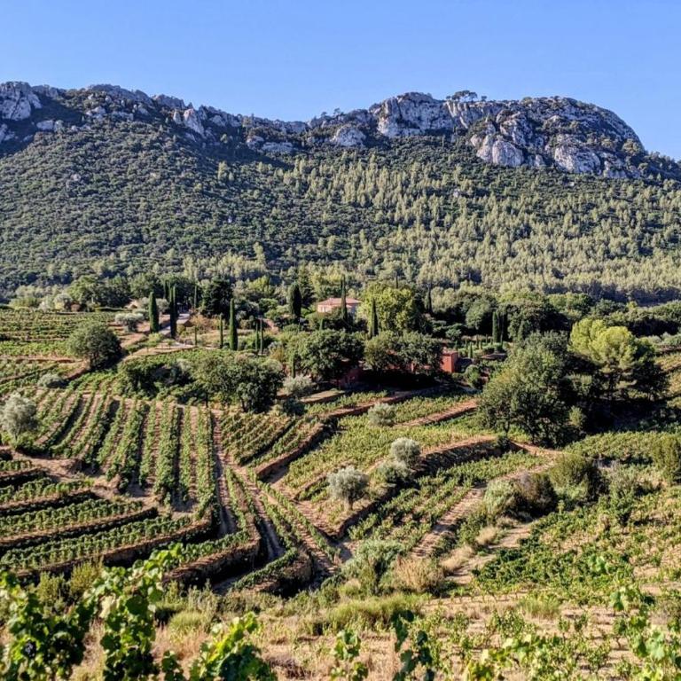 Cocon lumineux à Bandol à deux pas de la plage et de la gare - Estudio con vistas al jardín - 19