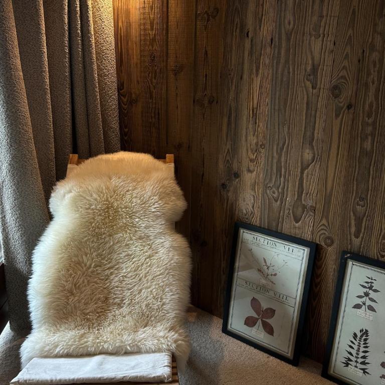 Cocon de charme à Megève, confort et vue - Appartamento con 1 Camera da Letto - 2