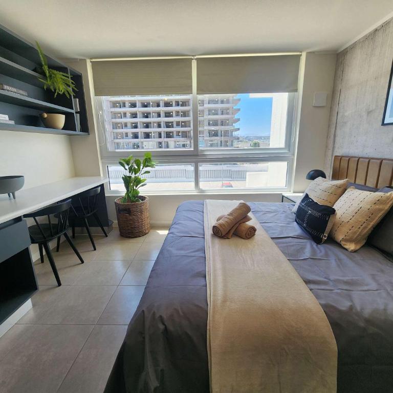 HOM I Amplio Studio a Estrenar en el centro de La Serena 330 - Apartamento - 35