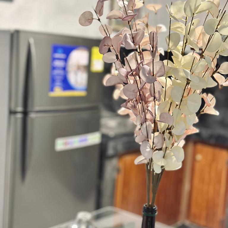 apartamento en el centro de Cuenca - Apartamento de 1 dormitorio - 11