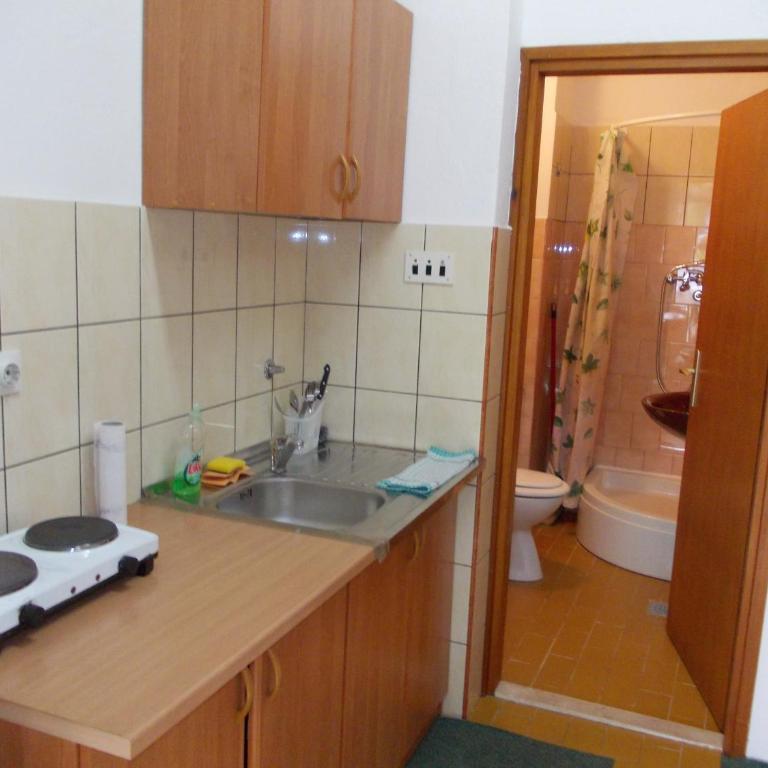 Apartments Bozic - Apartman sa Balkonom - 15