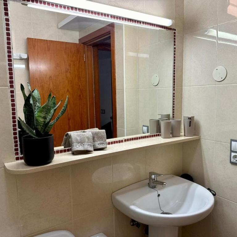 Oasis Lemon - Casa con 1 dormitorio - 38