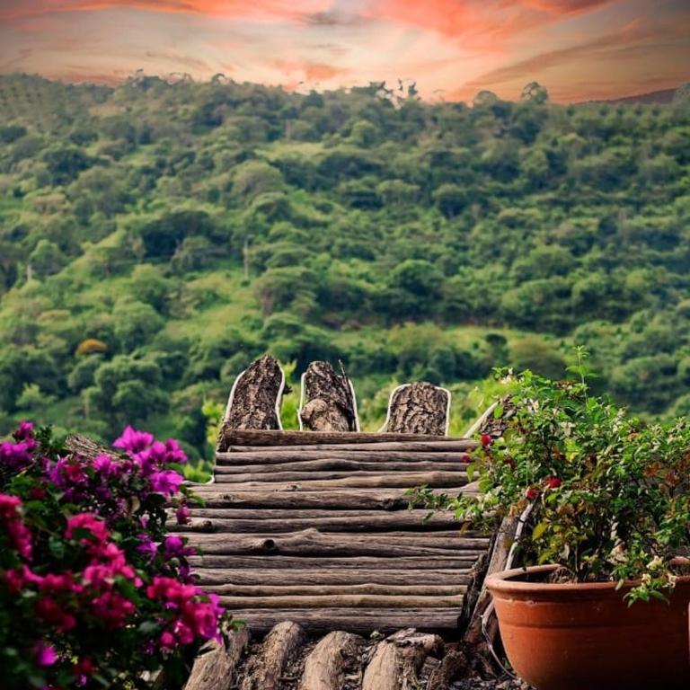 CABAÑA EL PEZ SAN GIL - Casa - 49