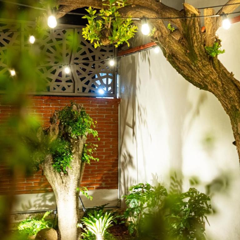 The Brown House - Casa de 3 dormitorios - 36