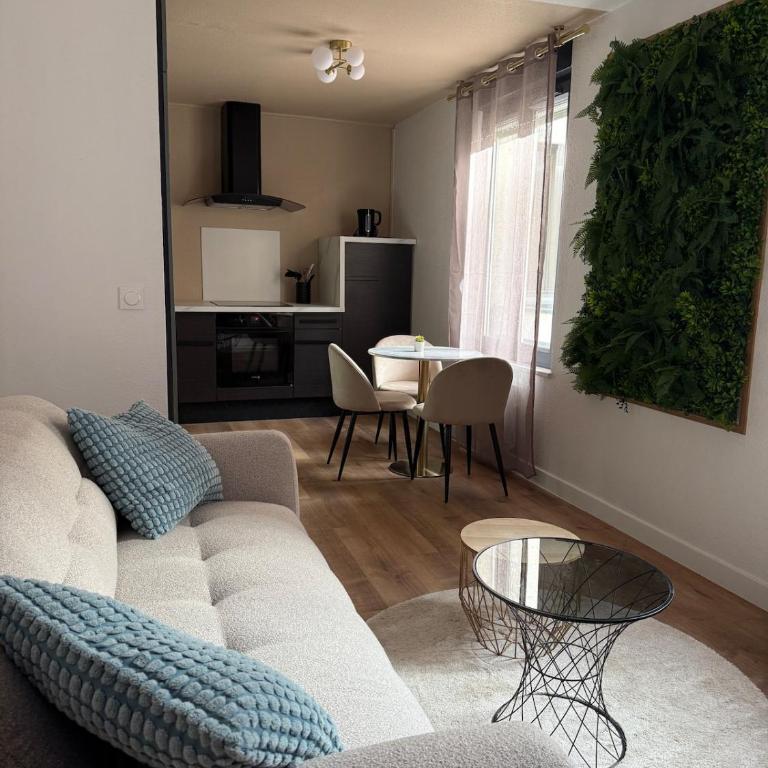 Appartement cosy centre ville - Appartamento con 1 Camera da Letto - 14