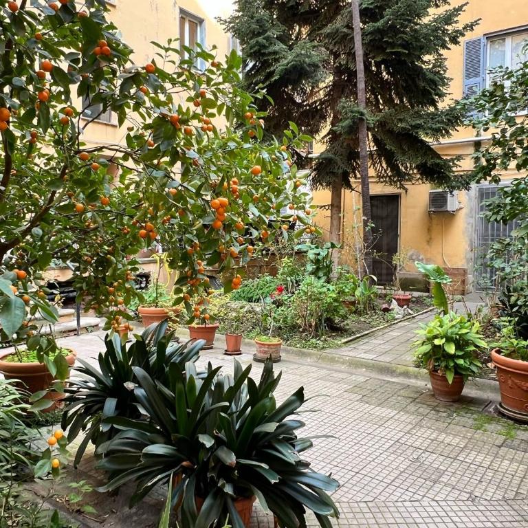 Zaffiro San Lorenzo - Appartamento con 1 Camera da Letto - 1