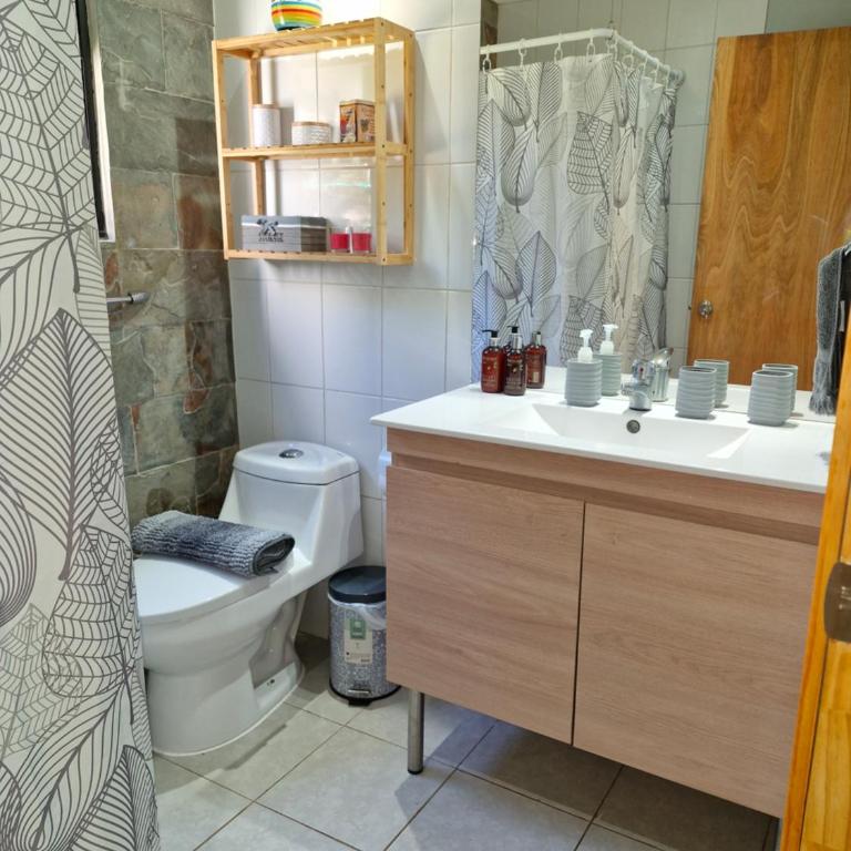 Hostel Pridenativo Rapa Nui - Habitación Doble con baño privado - 7