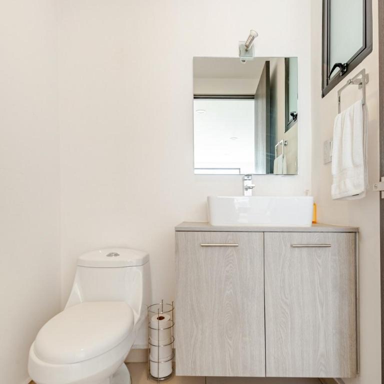 Luxury Garden House Condesa - Terrace & Parking - Apartamento de 3 dormitorios - 26