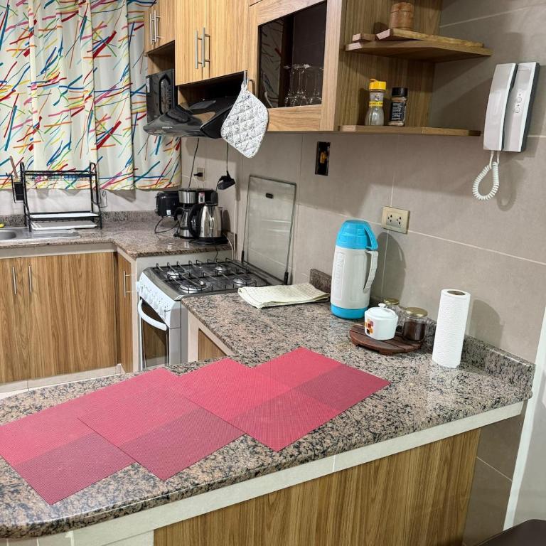 Comfortable apartment in Sopocachi - One-Bedroom Apartment - 11