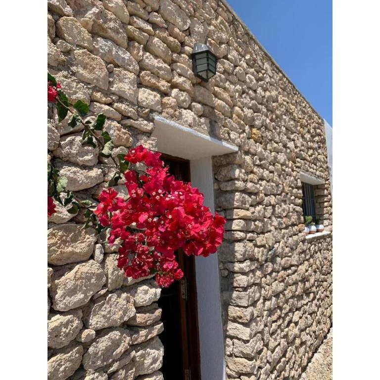 Stone house with private pool in Agua Amarga - Casa Vacanze con 3 Camere da Letto - 38