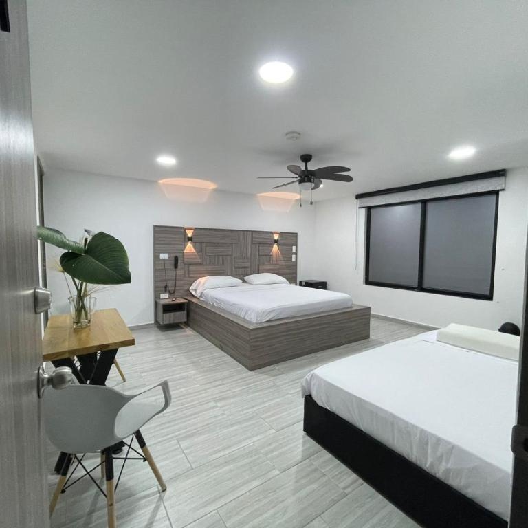 ZOI Eco Hotel y Glamping - Habitación Deluxe - 61