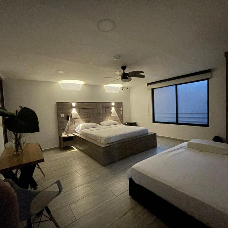 ZOI Eco Hotel y Glamping - Habitación Deluxe - 64