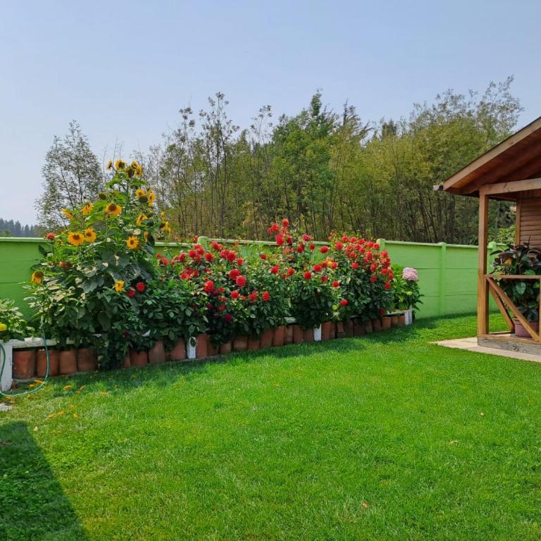 Cabañas Sol de Buchupureo - Three-Bedroom Apartment - 5