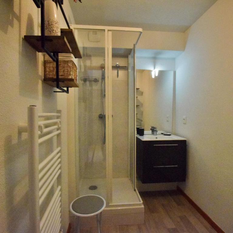 Appartement spacieux proche pistes avec parking privé - Appartement 1 Chambre - 9