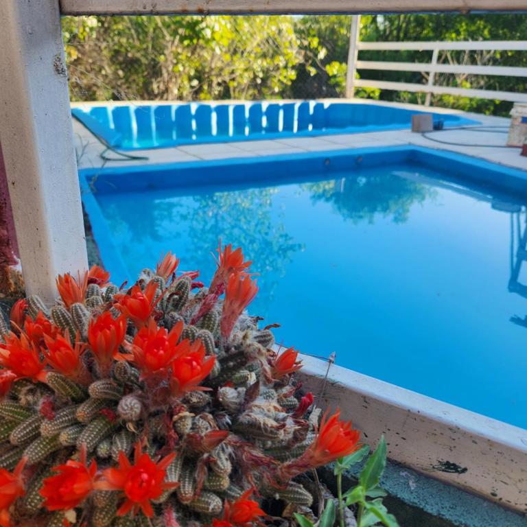 Altos de Grecia Cabaña 1 - Casa de 2 dormitorios - 2