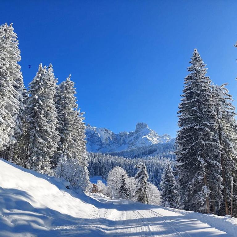 Kleinmauerreith Alpine Hideaway am Gosaukamm, Berg-Apartment - Apartment mit 3 Schlafzimmern - 15