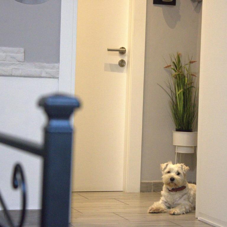Chloe's Rooms - Camera Tripla con Bagno Privato Esterno - 6