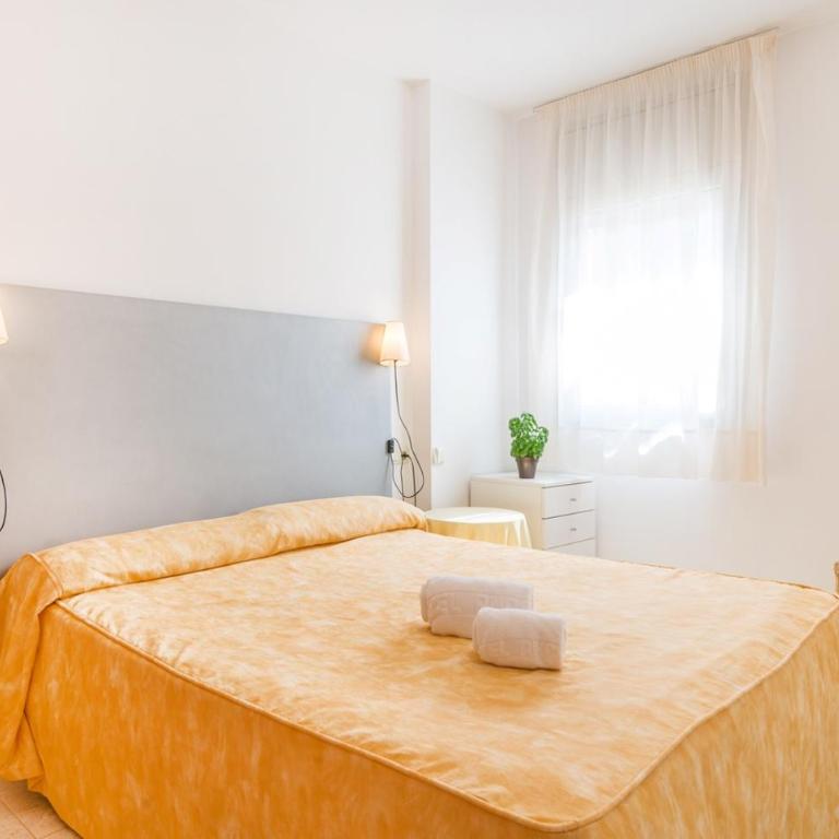 Apartaments Ancora - Apartamento de 2 dormitorios - 20