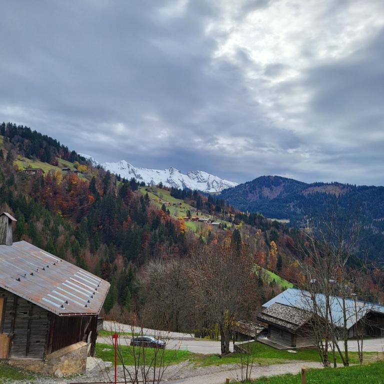 Appartement cosy face aux Aravis - Appartamento con 1 Camera da Letto - 20