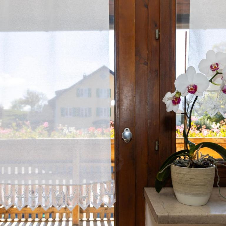 Goldiger Hirsch Pension mit Gemeinschaftsküche - Doppelzimmer mit Balkon - 5