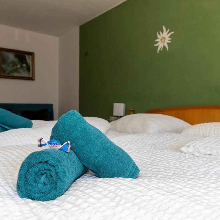 Goldiger Hirsch Pension mit Gemeinschaftsküche - Doppelzimmer mit Balkon - 7